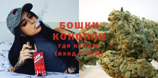 mdpv Богданович