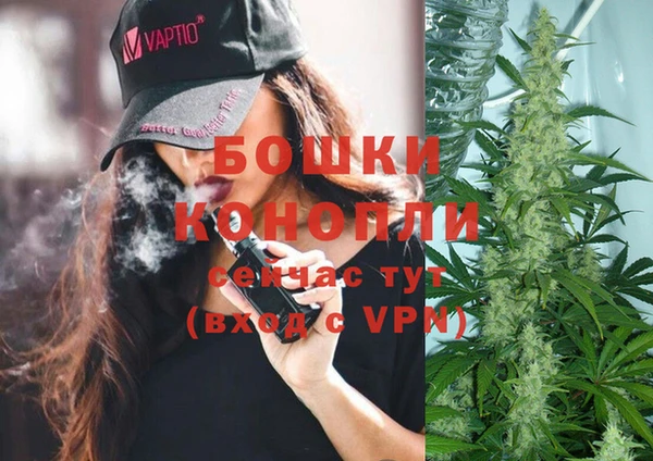 гидра Белоозёрский