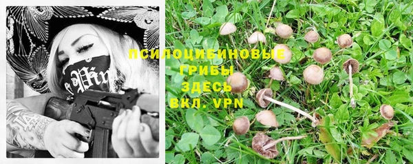 герыч Белокуриха