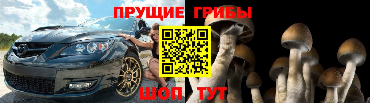 Псилоцибиновые грибы MAGIC MUSHROOMS Верхний Уфалей