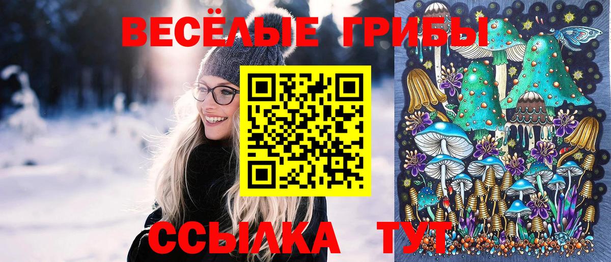 Псилоцибиновые грибы Cubensis  Галлюциногенные грибы GOLDEN TEACHER  где купить наркоту  Вход с VPN  Верхний Уфалей 